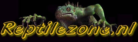 Site about reptiles